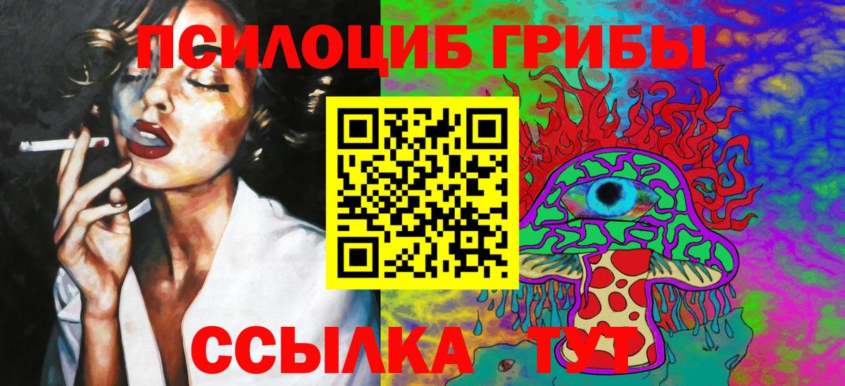 Галлюциногенные грибы Cubensis Нерюнгри