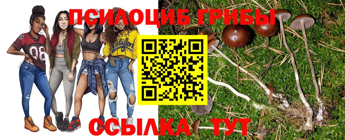 где купить наркоту  Галлюциногенные грибы Psilocybine cubensis  Вход с VPN  Нерюнгри 